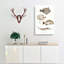 Selection Of Fish by John Edward Gray - Wrapped Canvas Painting-55318087