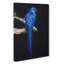 Blue Parrot in Abstract - Wrapped Canvas-55315547
