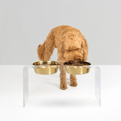 Tall Clear Elevated Feeder with Bowls