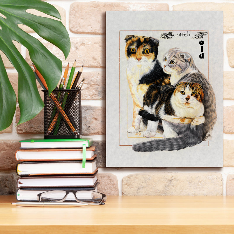 «Scottish Fold» par Barbara Keith sur, H 16 po x l 12 po x P 0,75 po