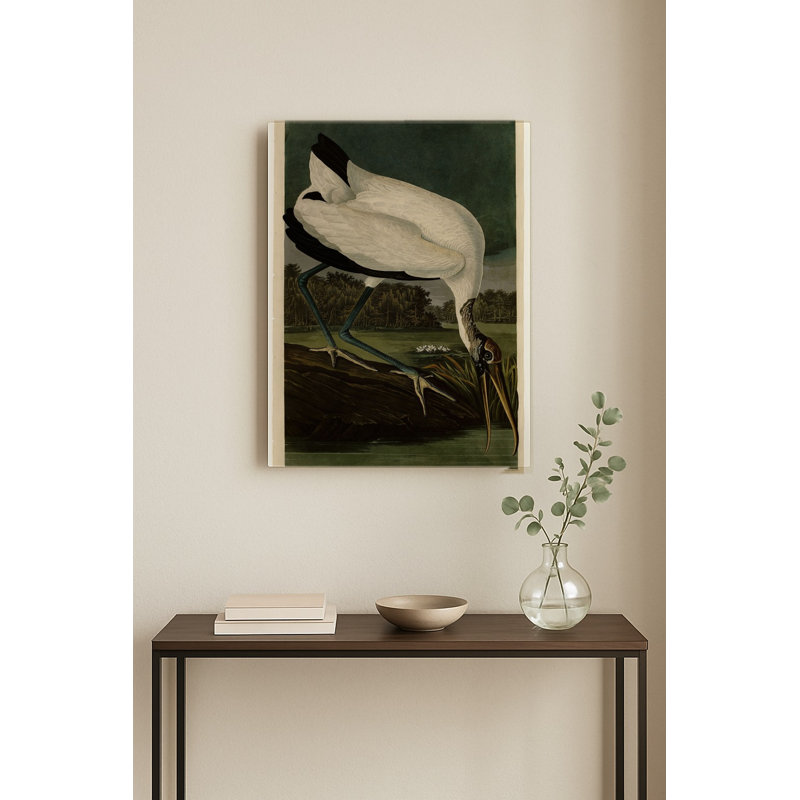 Ibis des bois (Plaque CCXVI) — Portrait en métal, 14" H x 11" W