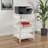 Lyric Home Office Printer Stand, soft-close drawer, White, 30.60'' H X 20.53'' W X 19.75'' D-109116042