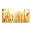 Valinda 50cm W x 100cm L Glass Peel and Stick Panel