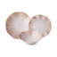 Tasmin Piece Dinnerware Set - Service for 6