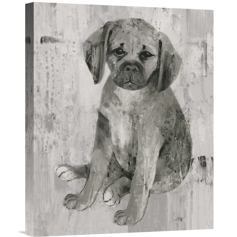 " Paco " by Albena Hristova, 20" H x 16" W, Wrapped Canvas, No Mat