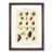 Walnut Framed selected