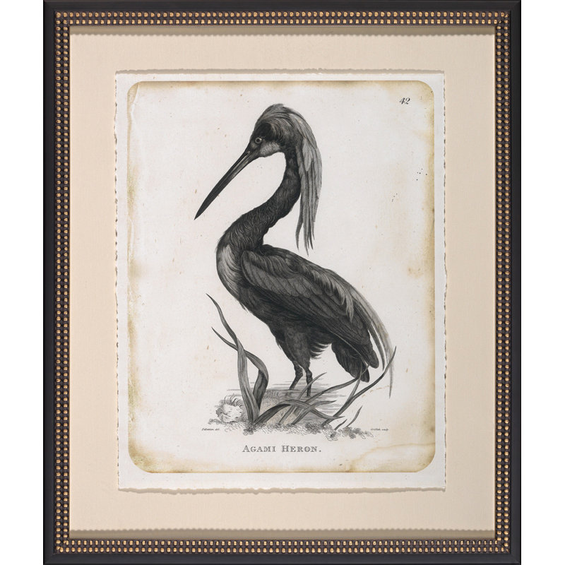 Agami Heron Painting