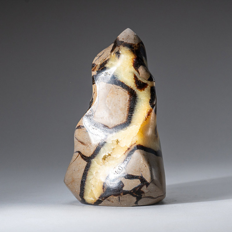 Polished Septarian Flame Freeform from Madagascar (1.5 Lbs)