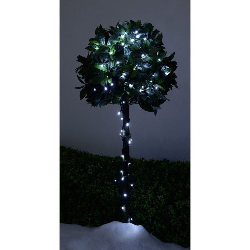 7.6cm LED Indoor / Outdoor String Lights