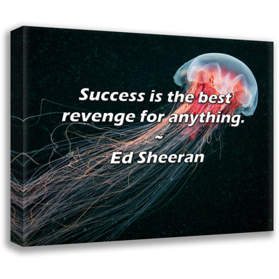 Ed Sheeran Quote: Success is the best revenge for anything.