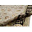 Dania Oriental Area Rug