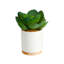 6 po Plante artificielle en pot blanc