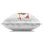 Coussin Squawking Mallard Duck-116290126