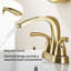 2-handle Bathroom Faucet with Drain Assembly-72853603
