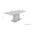 Fauzia Extendable Dining Table-2030122445