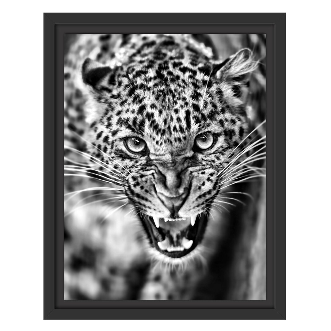 Gerahmtes Wandbild Fauchender Leopard