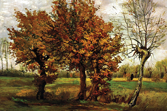 «Autumn Landscape with Four Trees» par Vincent Van Gogh - reproduction d'art sur toile tendue, H 24 po x l 36 po, No Frame