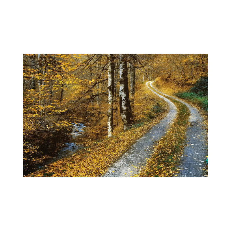 Winding Road by Lars Van De Goor - Wrapped Canvas Print, 30.48 cm H x 45.72 cm W