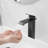 1 Mounting / Installation Required Single-handle Bathroom Faucet with Drain Assembly-101486189