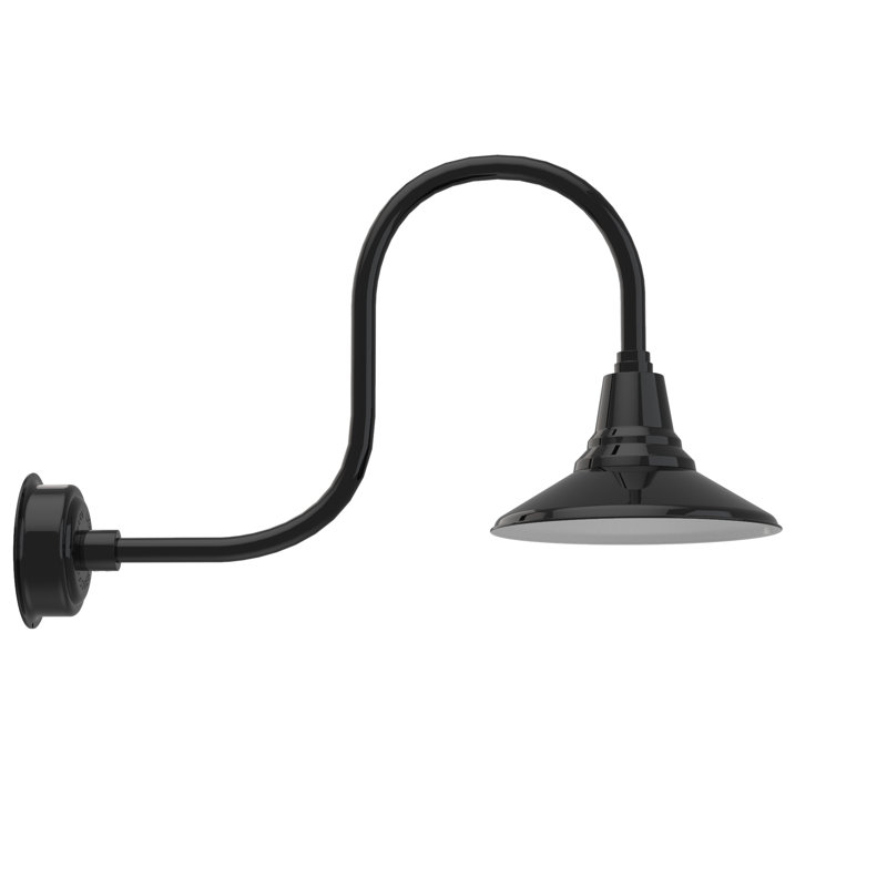 Luminaire de grange d’extérieur à del Albali, H 9 po x l 12 po x P 17 po, Noir