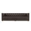 Velvet Sofa-791194824-791194828