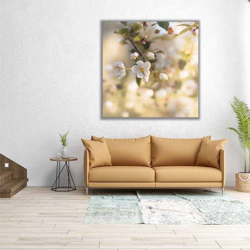 «Blush Blossoms I», reproduction d'art sur toile, H 12 po x l 12 po