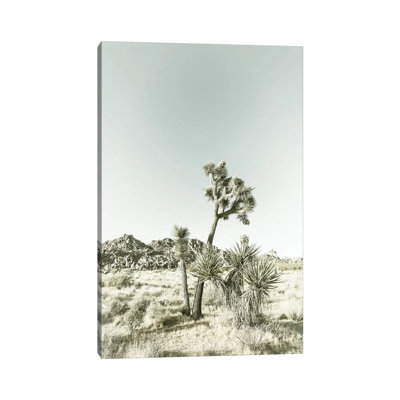 " Vintage Joshua Trees " by Melanie Viola