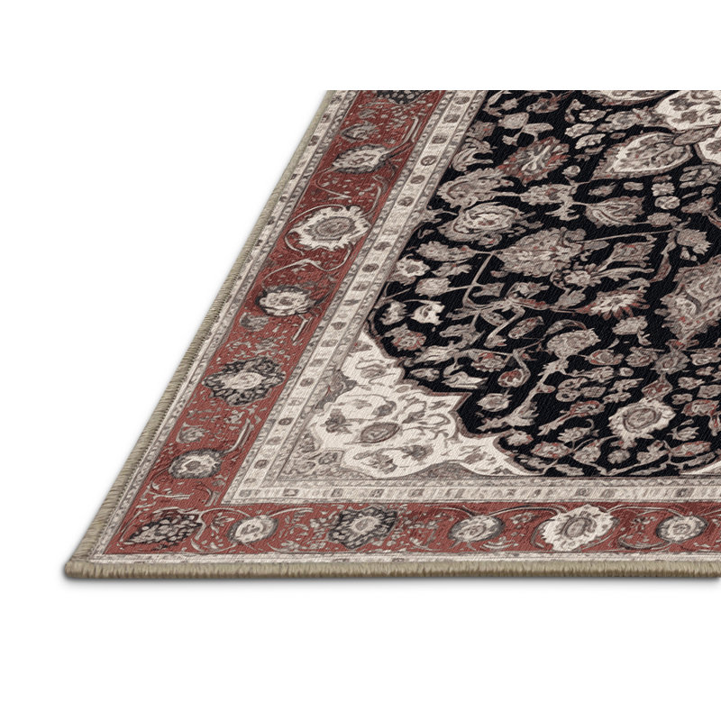 Machine Washable Persian Brown Area Rug, Rectangle 4' x 6'