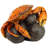 Animals Weather Resistant UV Resistant Polyresin Garden Statue