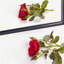 Miroir pleine grandeur