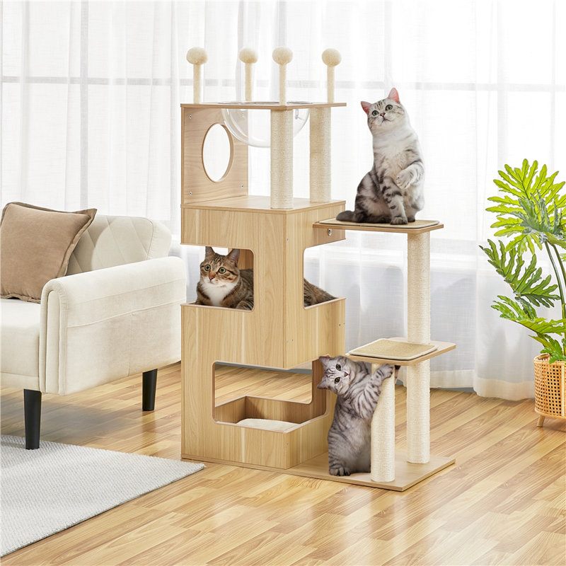 Emberlynne 53'' H Cat Tree