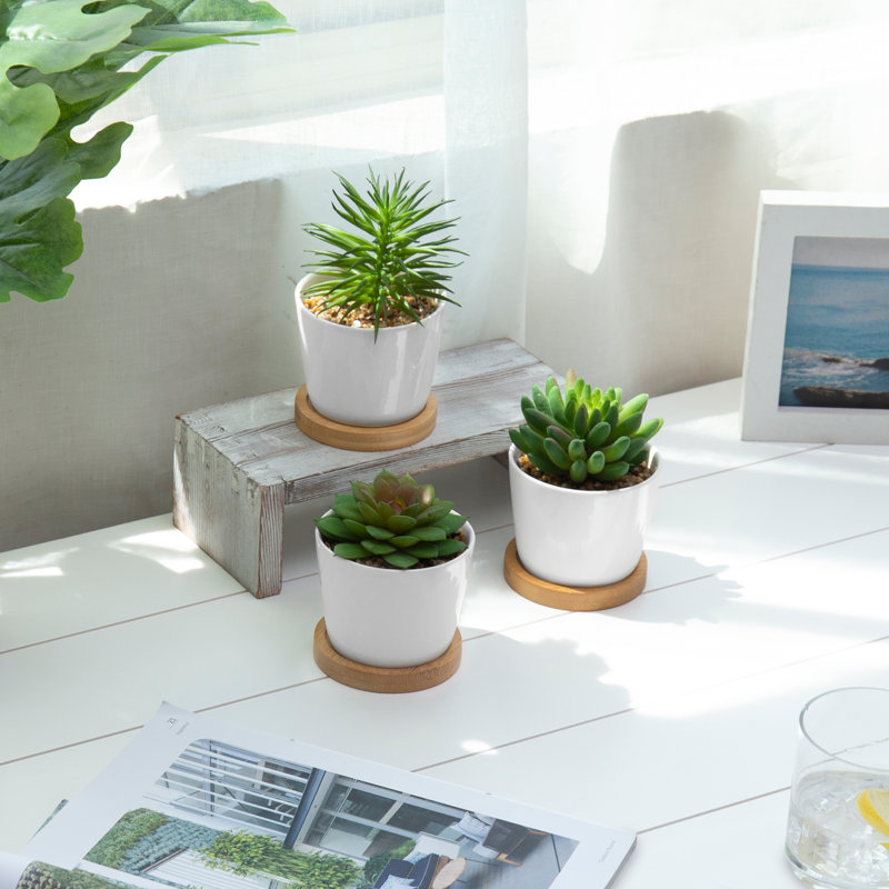 15cm Faux Succulent Plant in Ceramic Pot