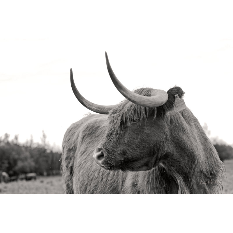 On the Ranch I 1 Piece Wrapped Canvas Wall Art, 20cm H x 30cm W