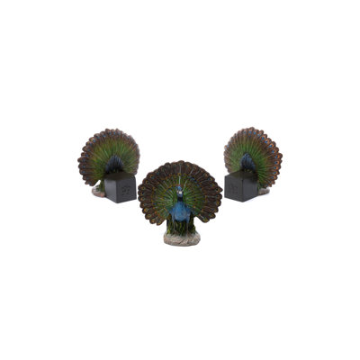 Peacock Coloured Planter Feet In Gift Box