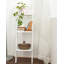 Swavar 121cm H x 33.5cm W Ladder Bookcase