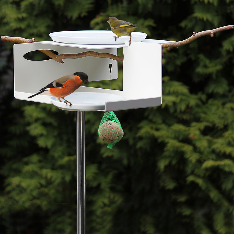 Vejtsberg Metal Modern Architecture Birdbath