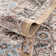 Briawood Oriental Indoor Rug