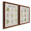Herbes et fleurs - Toile encadrée de qualité supérieure - prête à être accrochée-1330338396-1330338399