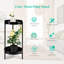 Plant Stand-61770723-61770724