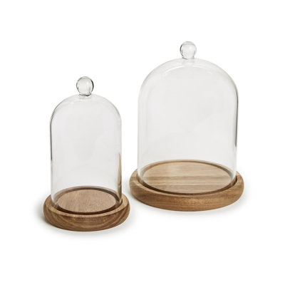 Set of 2 Glass Cloche with Acacia Wood Base Display Domes 8" H