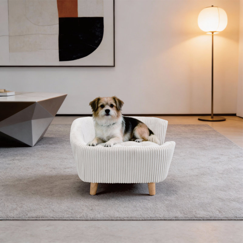 Structure de lit pour chien pour petit chien, velours côtelé, Beige