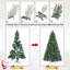 Fir Christmas Tree-1037327394