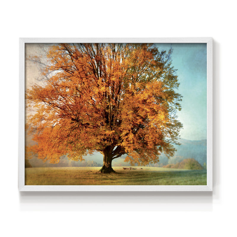 «Autumn's Passion» - reproduction encadrée - Restickable, H 16 po x l 20 po, Blanc