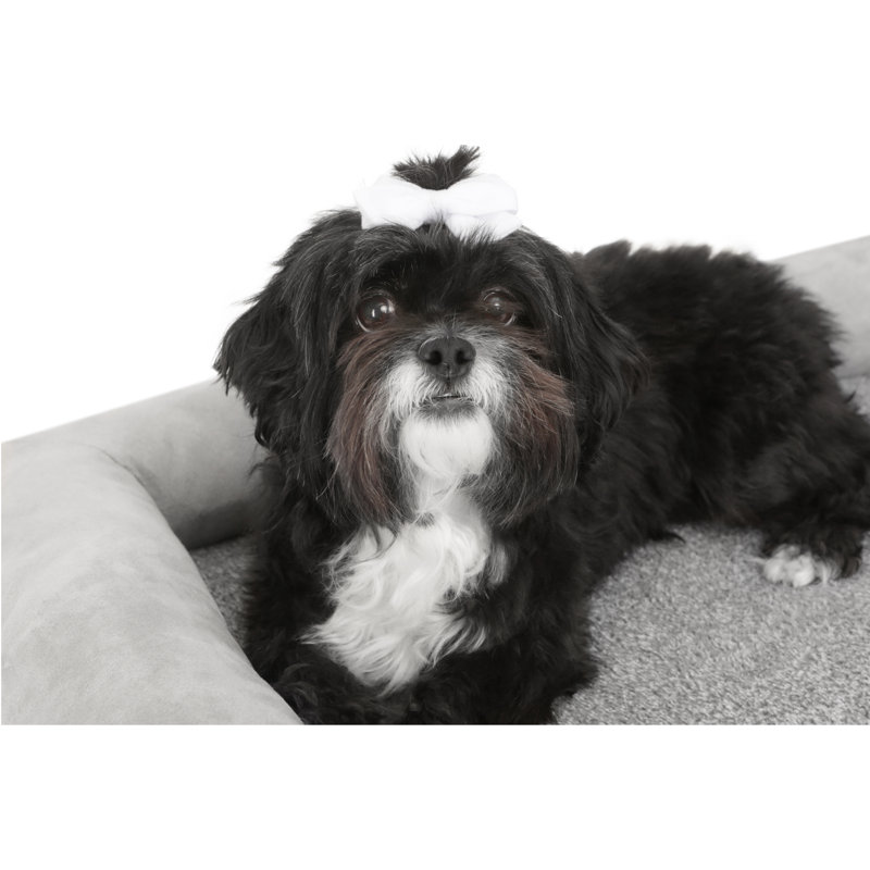TailZzz Orthopedic Gray Polyester Pet Mattress for Small to Medium Dogs