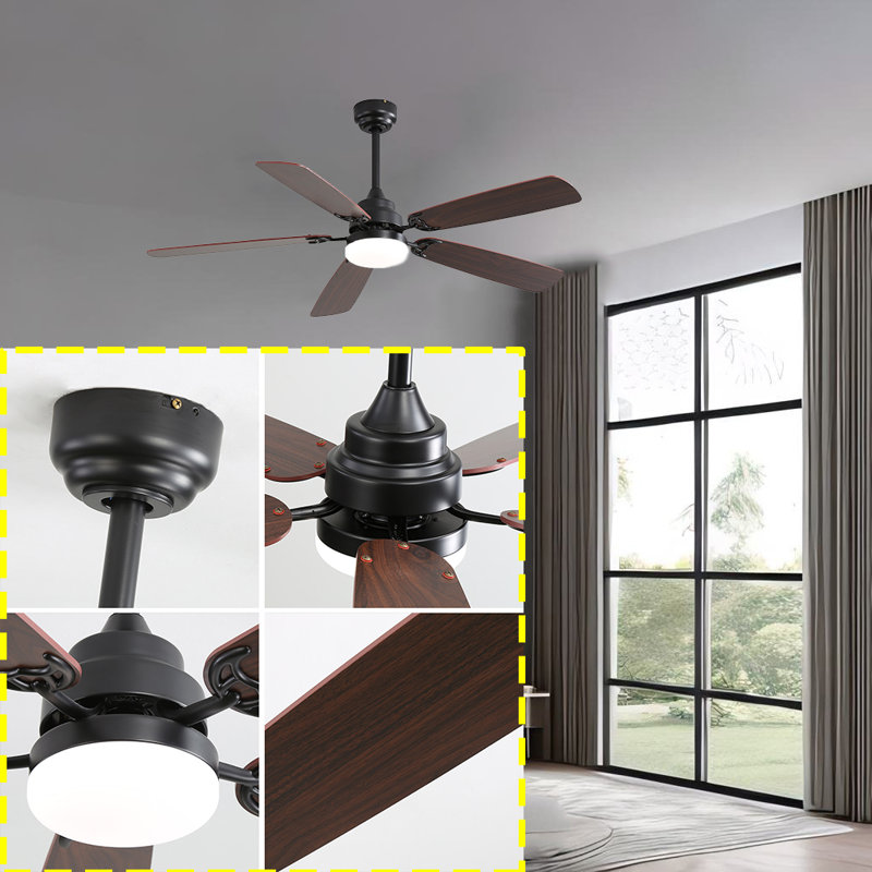 Keagon 52'' Ceiling Fan with LED Lights