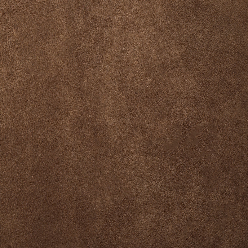 Newton Leather Dining Chair