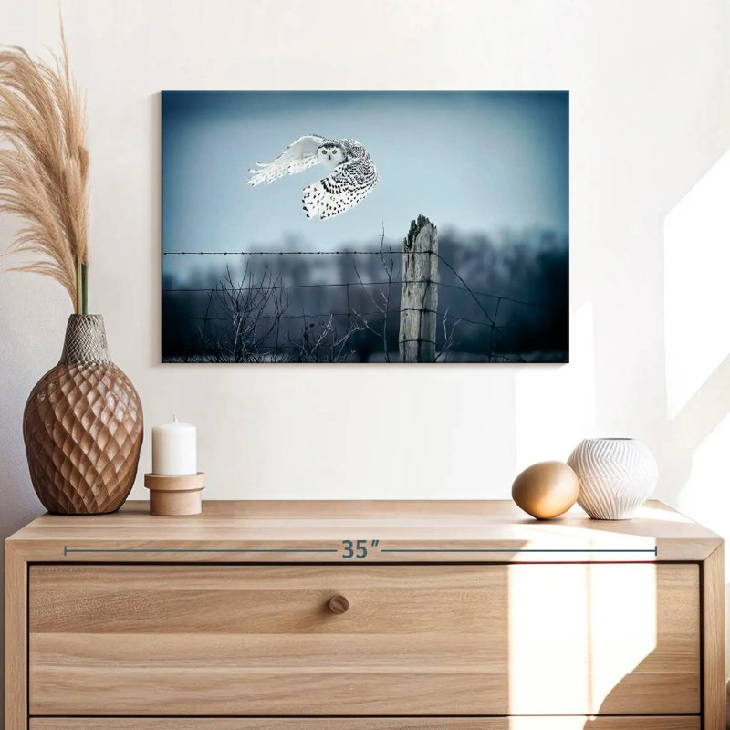 Brampt Winter Snowy Owl IV, 16" H x 24" W