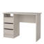 Function Computer Desk