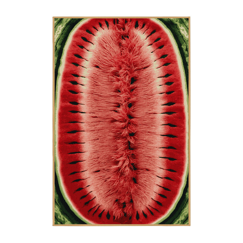  Tapis lavable sans pépins de melon d'eau, Tapis de couloir 2 pi x 4 pi