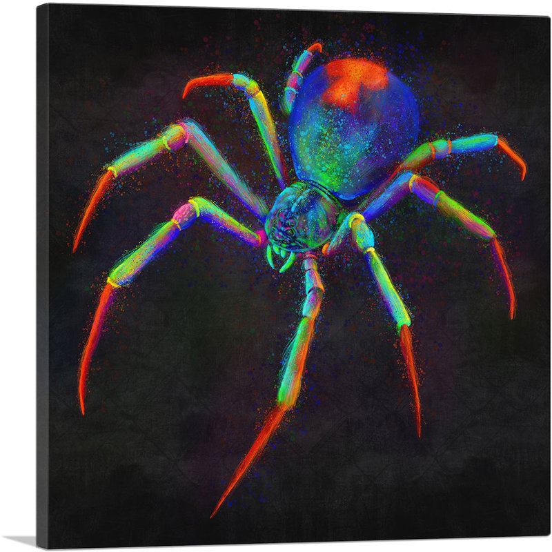 «Black Window Spider Web Arachnid», reproduction d'art graphique sur toile tendue, H 36 po x l 36 po x 1,5 po